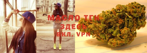 шишки Краснослободск