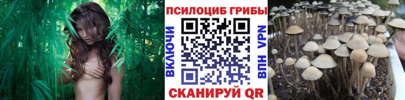 Псилоцибиновые грибы Psilocybine cubensis  ссылка на мегу ссылка  Называевск  закладка 